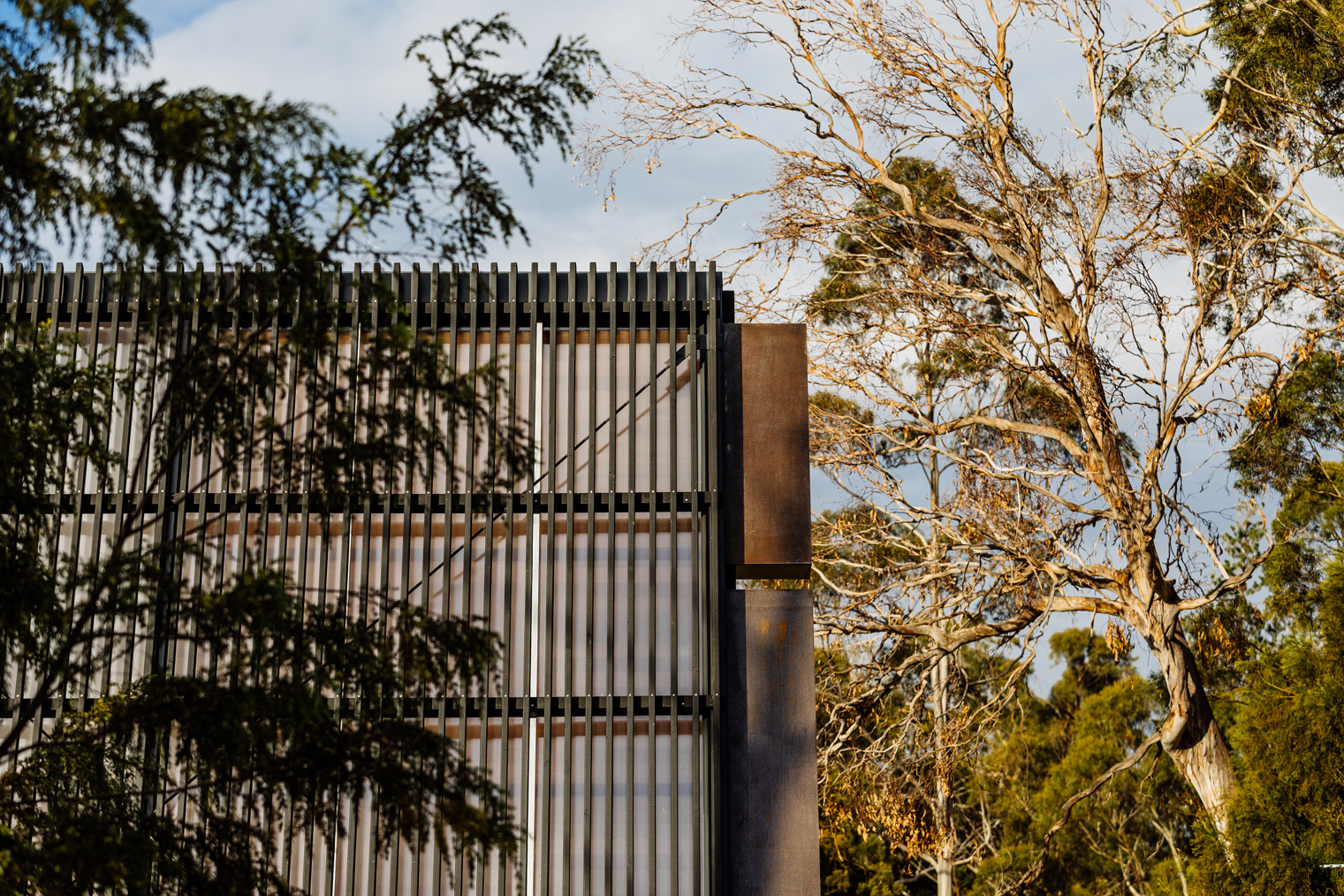 The Dark Stained Timber Cabinetry Reflects The Black Exterior That Recedes Visually, Allowing The Natural Environment To Take P