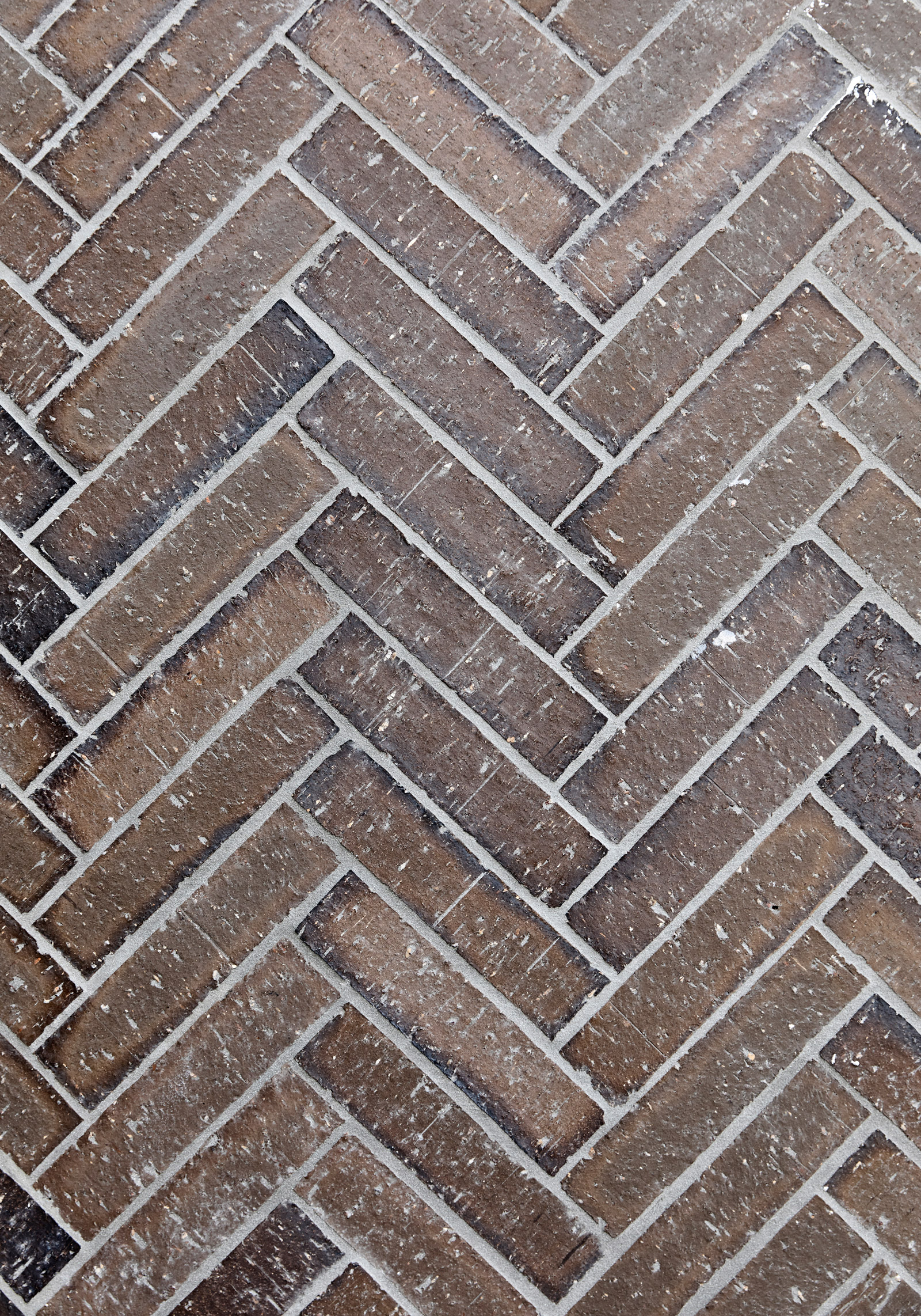 Short Feature Kooyong, Outline Projectskennedy Nolan