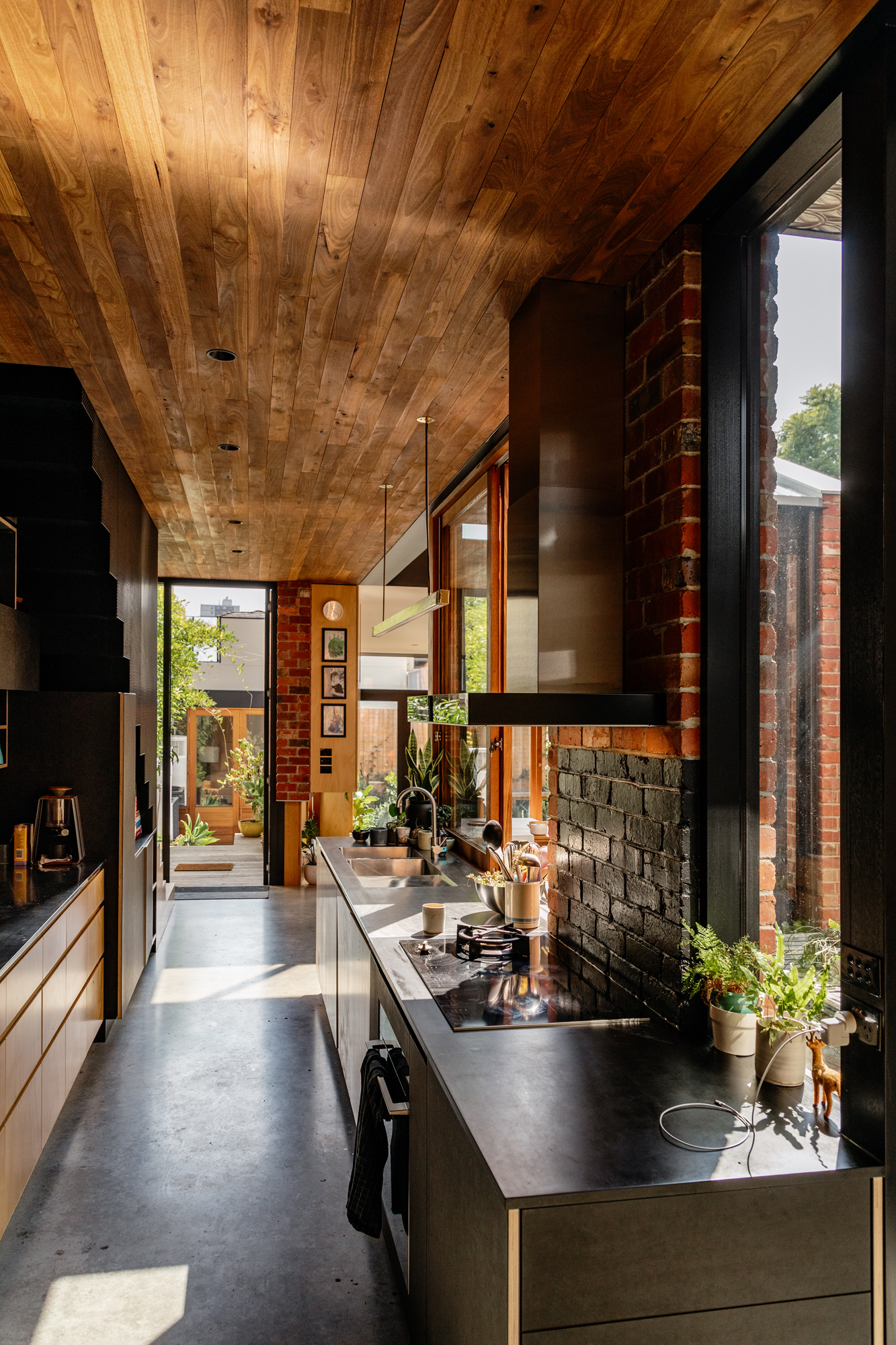 A Form Of Autism Spectrum Disorder Whereby Physical Sensation Is Constantly Being Sought As A Means To Stimulate A Starved Nervous System Was The Catalyst For Thi