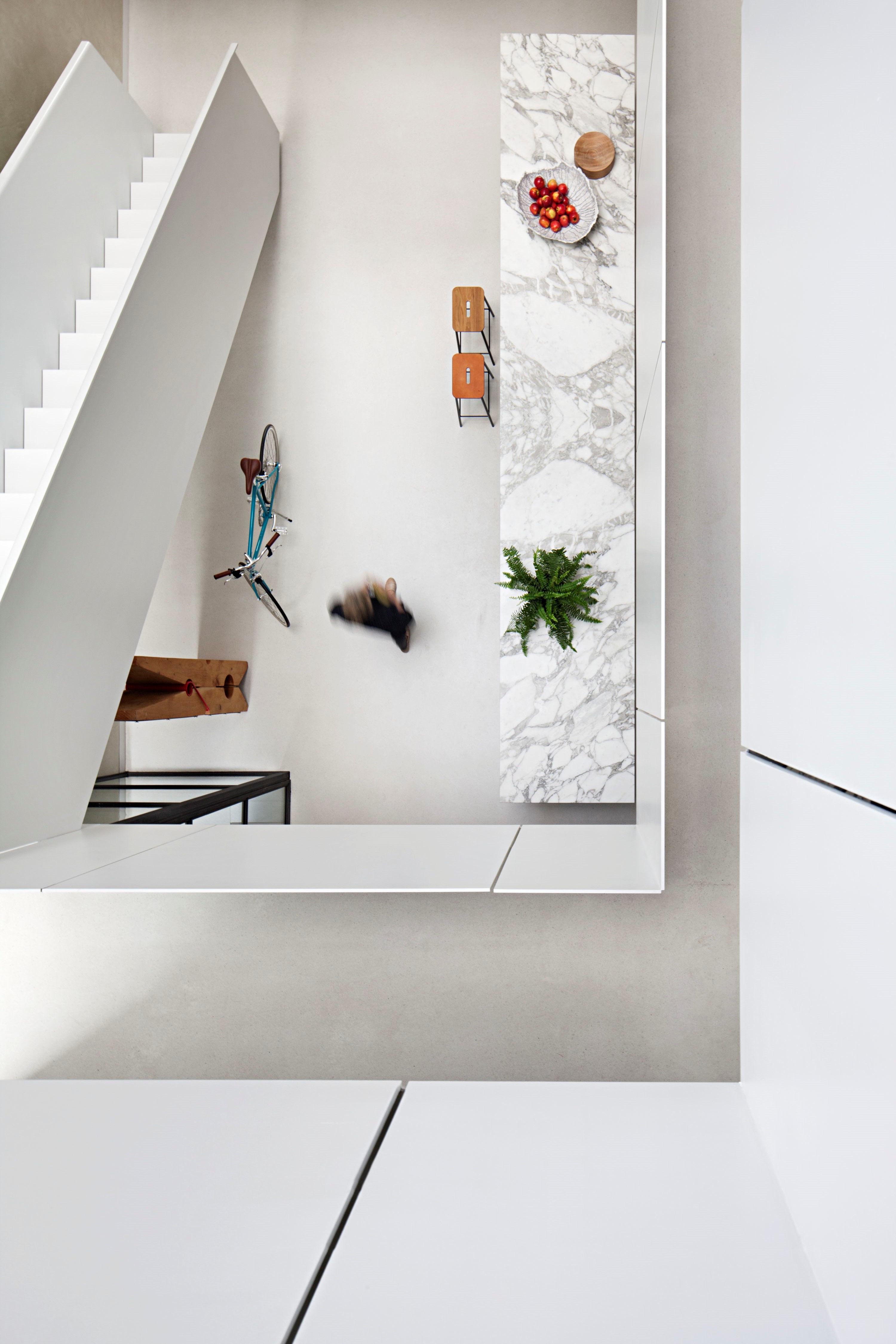 Which Was One Of The Initial Triggers Of Exploration Into The Adaptive Potential For The Design