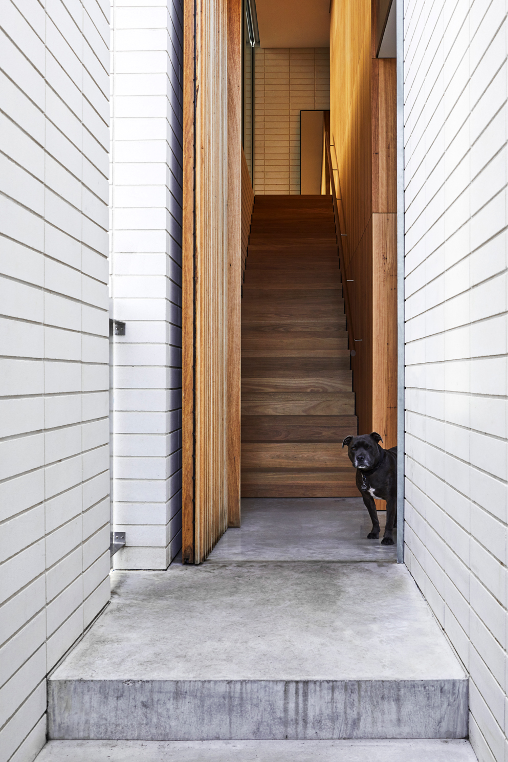 Including Most Recently Bentwood In Fitzroy North. This Long Working Relationship Led To An Extremely Trusting And Open Brief When The Time Came