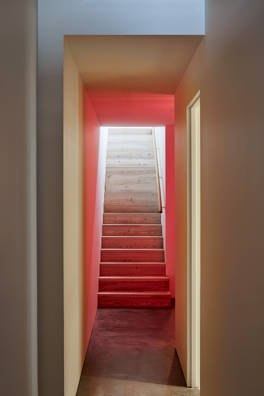 A Traditional Workers’ Cottage Is Transformed By Interior Designer Fiona Lynch Into A Refined And Dynamic Home That Reflects The