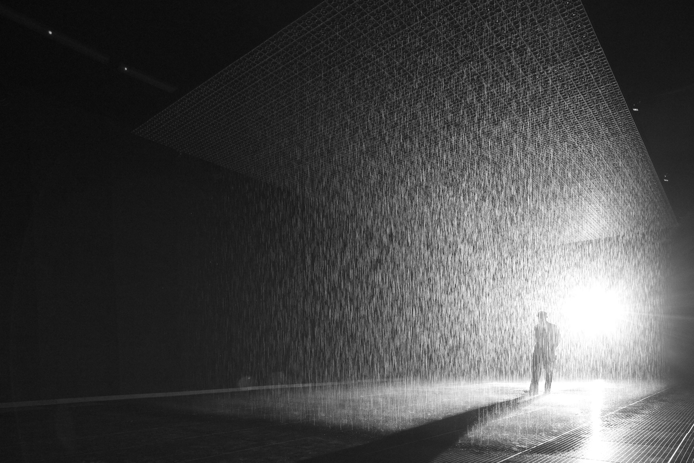 Tlp Rain Room March Studio 03