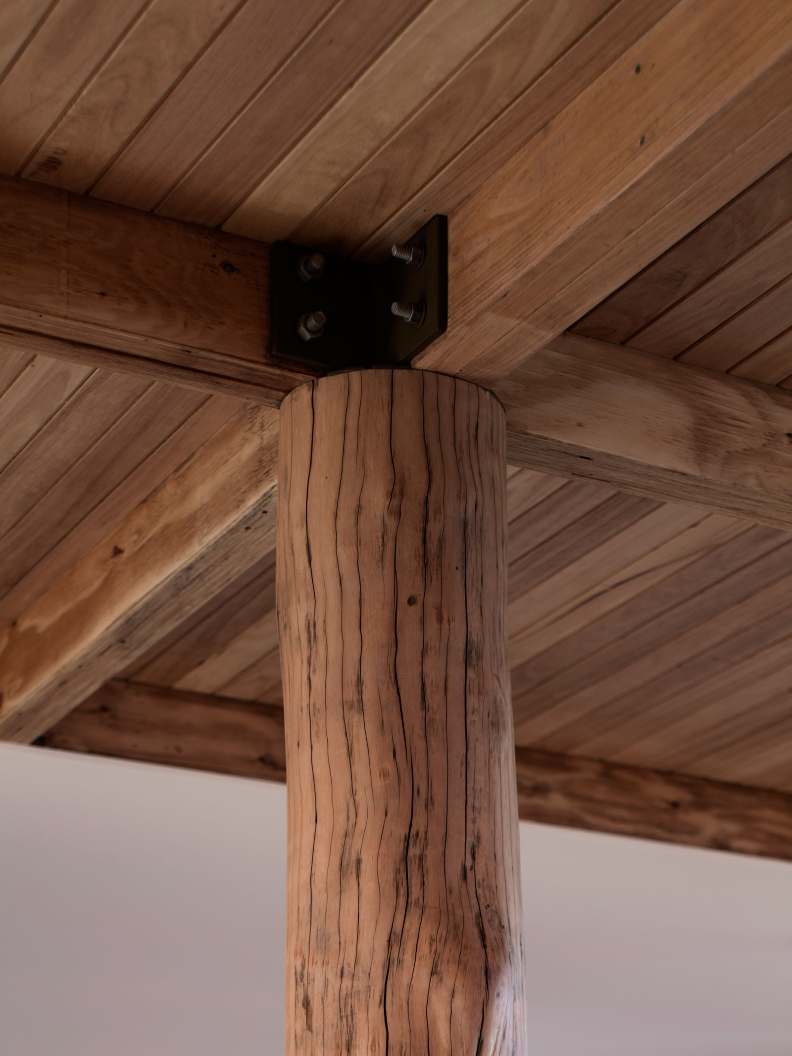 Set Among The Mature Gums That Have Long Stood On The Block, The Collaboration Between Client And Architect Led To A Small Two Level, Two Be