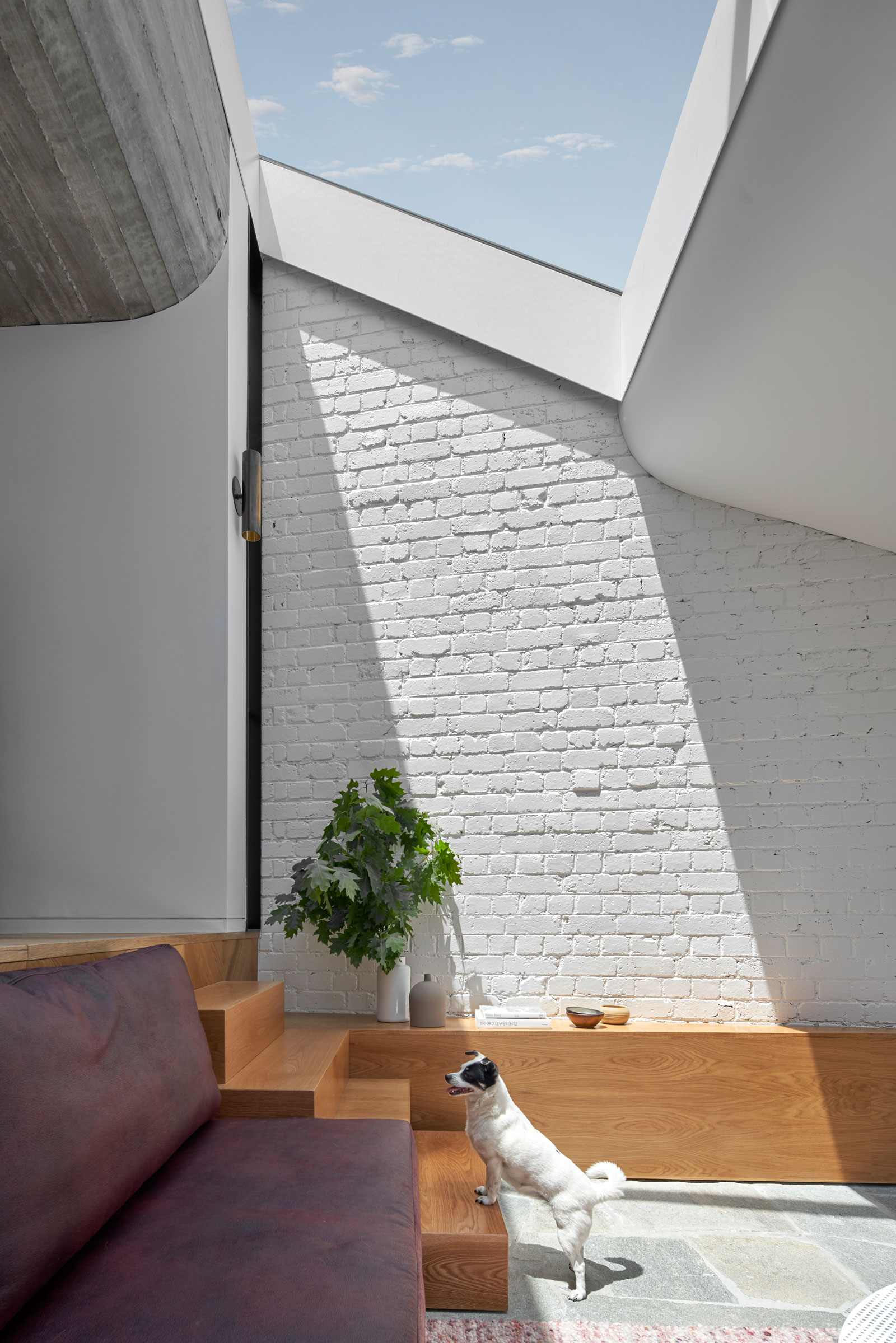 Tlp Fitzroy Terrace House Taylor Knights Architects 08