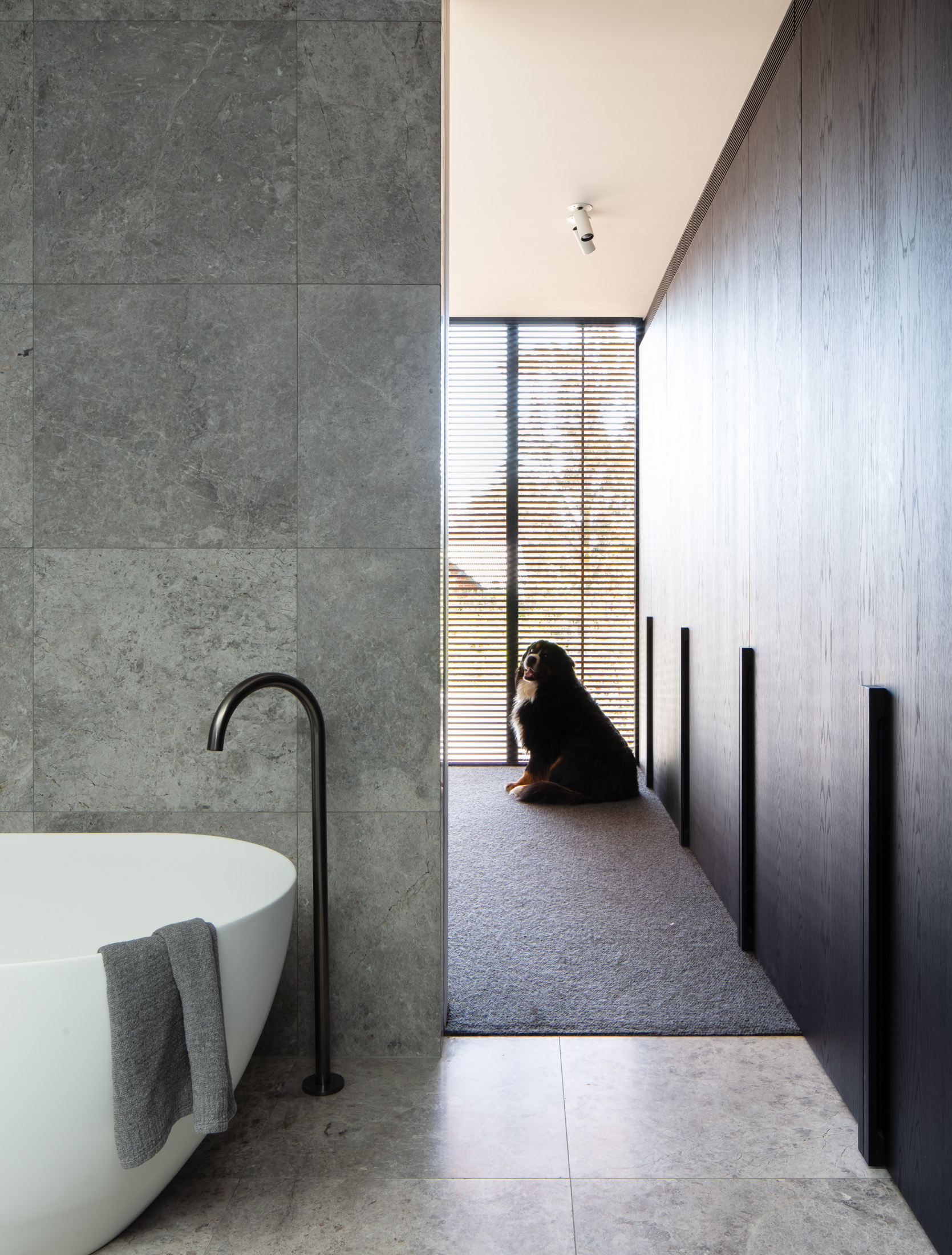 Modscape Was Brought On Board To Reinvent The Original Ageing Victorian Era House And Its Dated, Clunky Extension, Located In The Melbourne S