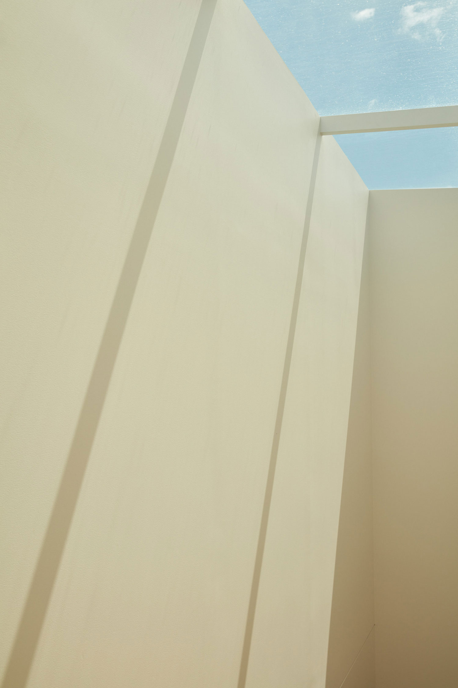 On Tlp Today, We Explore The Reimagining Of An Unused Rear Yard Of A Nineteenth Century Victorian Shop Front, Located In Melbourne’s I