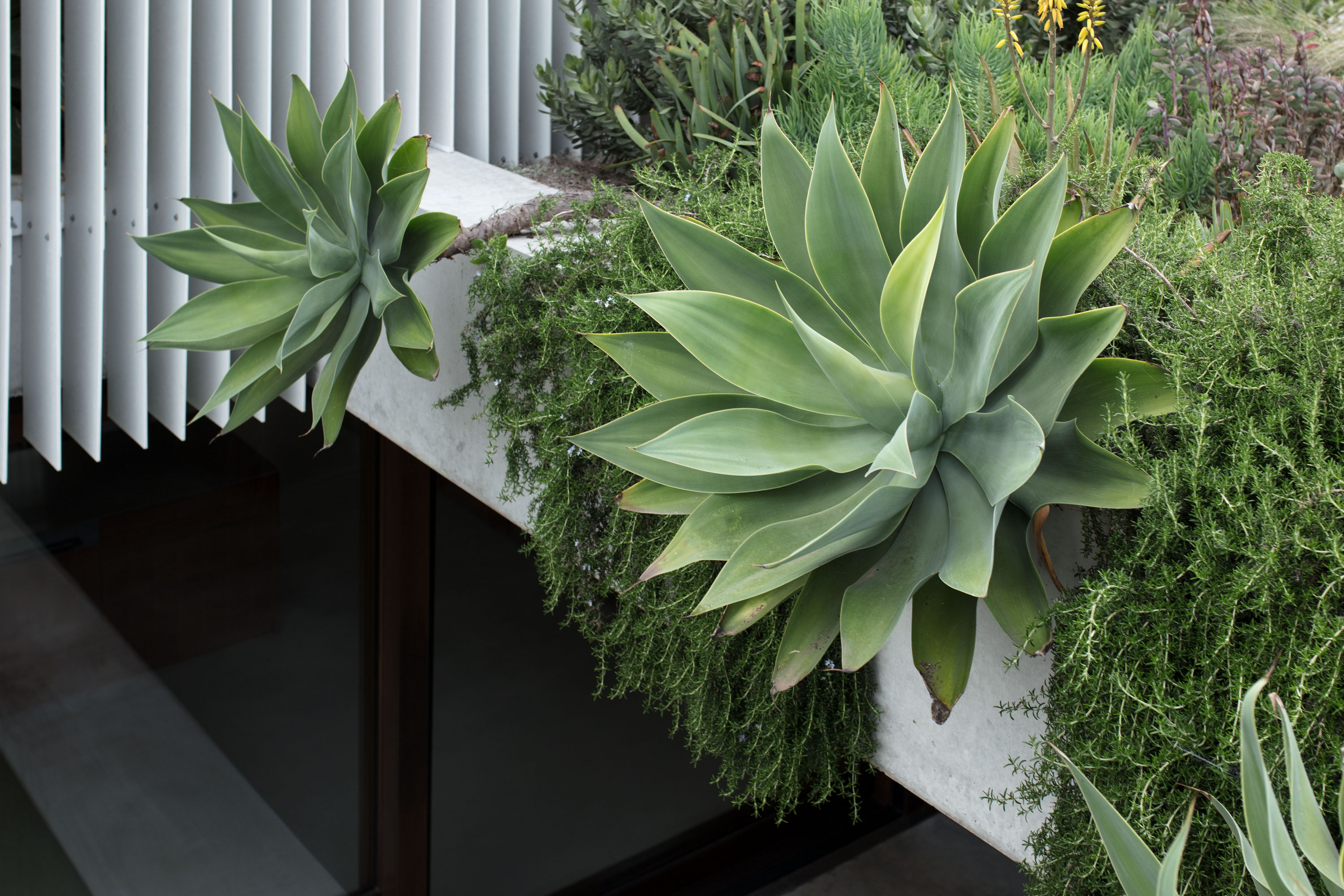 Anthony Describes The Original House As “responding Abysmally To Its Site, With No Connection To The Land, Addressing Orient