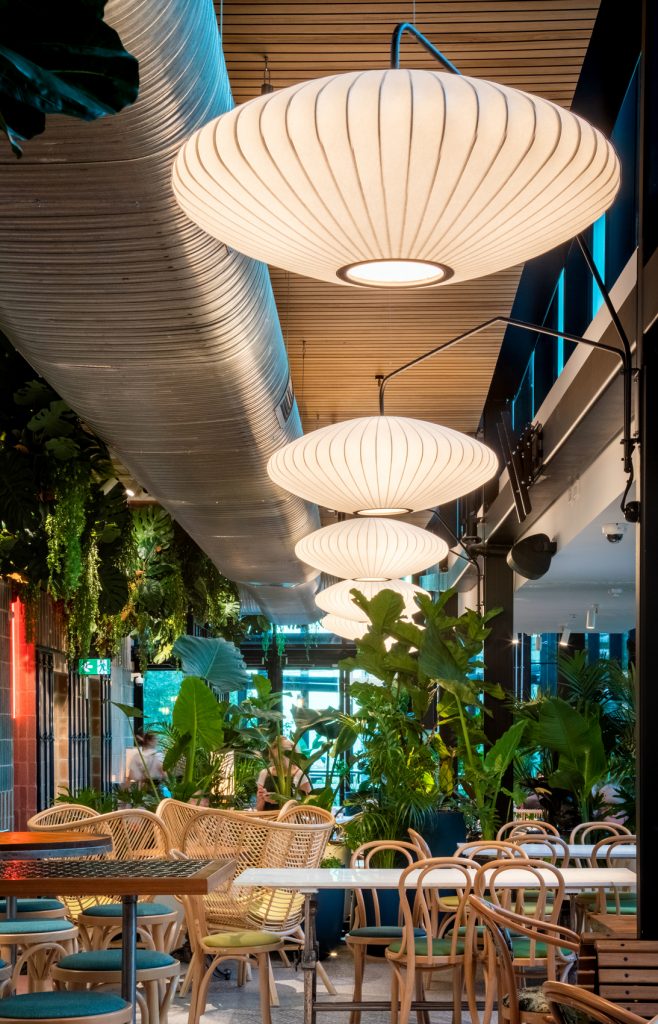 Green Moustache by Interior Design North Sydney, NSW, Australia