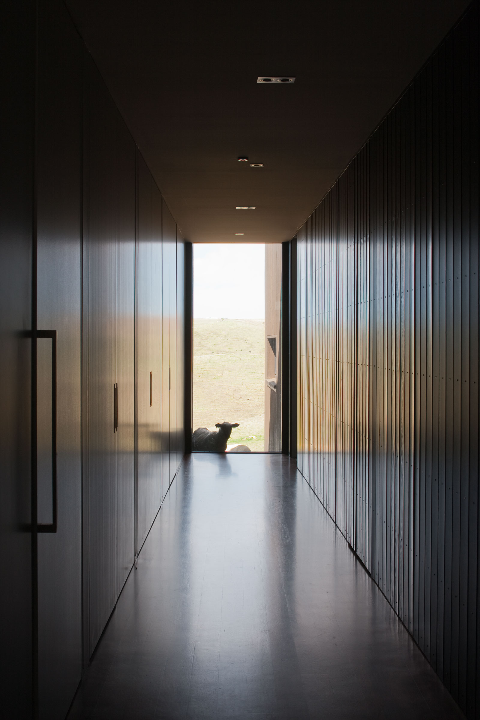 Tlp Parihoa Patterson And Associates Jean Luc Laloux 03