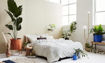 Tlp Ivymuse Playback 10