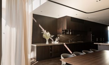 Tlp Swanston Street House Robert Simeoni Architects 14