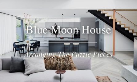Blue Moon House Yt Thumbnail