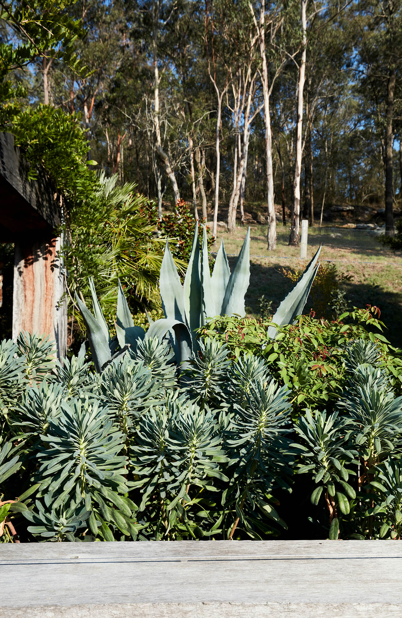 Hunter Valley Residence By Dangar Barin Smith Hunter Valley Nsw Australia Image 07