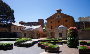 Sydney Open 2020 News Feature The Local Project Image 08