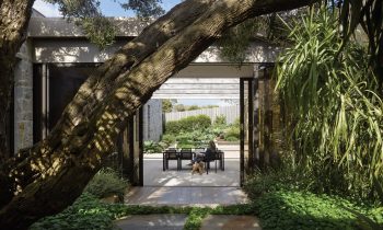 Reviving The Australian Modernist Garden By Sharon Mackay And Diana Snape Product Feature The Local Project Image 04