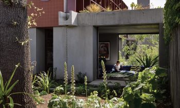 Reviving The Australian Modernist Garden By Sharon Mackay And Diana Snape Product Feature The Local Project Image 13