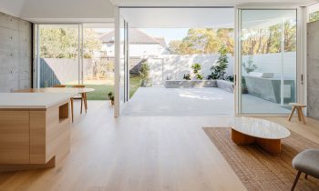Dulwich Hill House By Benn And Penna Project Feature The Local Project Image 02
