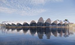 Msdx Summer 2020 Virtual Exhibition Event Feature The Local Project Image 05