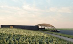 Msdx Summer 2020 Virtual Exhibition Event Feature The Local Project Image 06