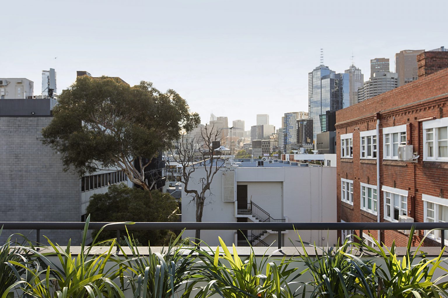 East Melbourne Terrace by JTA Architects Project Gallery The Local