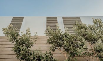 Modern Queenslander – Sunshine Beach House By Teeland Architects Image 5