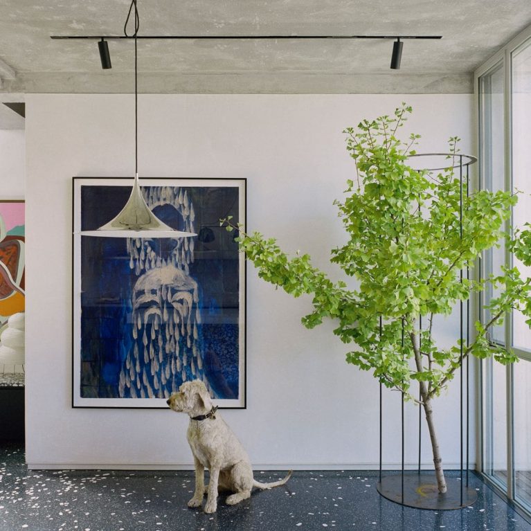South Melbourne House By Pandolfini Architects Issue 06 Feature The Local Project Image 19