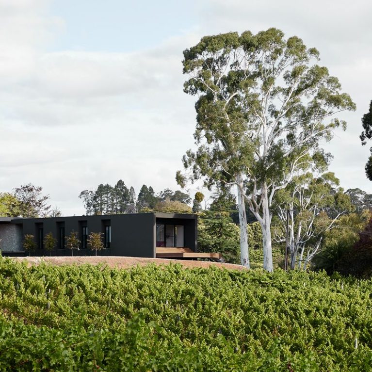 Vigneron House By Enoki And Proske Architects Project Feature The Local Project Image 25