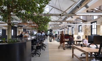 The Hayesbery By Woods Bagot With Living Edge Project Feature The Local Project Image 03 Min