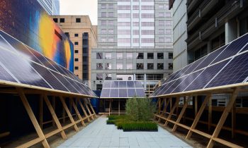 Melbourne Design Week 2022 Project Feature The Local Project Image 03