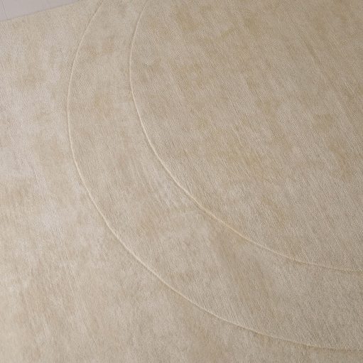 Armadillo Company Profile The Local Project