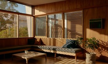 Eucalypt House By Not All Architecture Project Feature The Local Project Image 04
