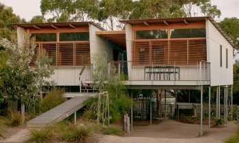 Eucalypt House By Not All Architecture Project Feature The Local Project Image 16