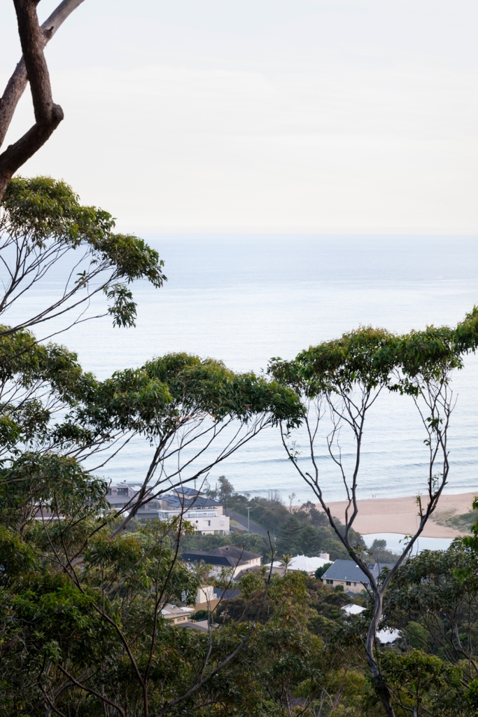 Dd House By Bokey Grant Architects Issue 08 Feature The Local Project Image 21