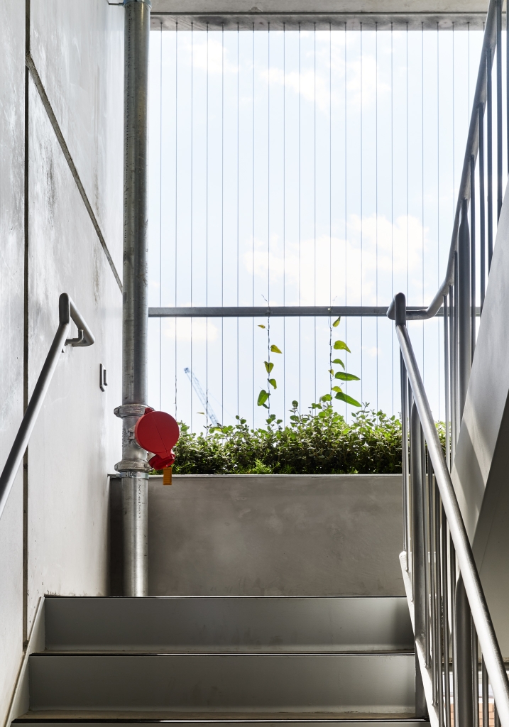 Light Box By Clare Cousins Architects Issue 08 Feature The Local Project Image 07