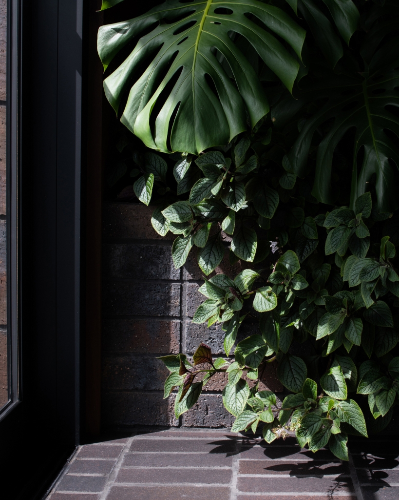 Stoney Rise Cellar Door By Cumulus Studio Issue 08 Feature The Local Project Image 31