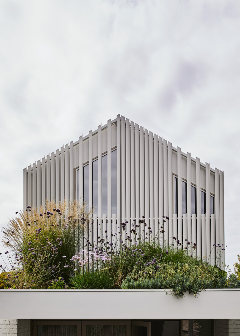 Brunswick East Residence By Studio Amble Project Feature The Local Project Image (17)