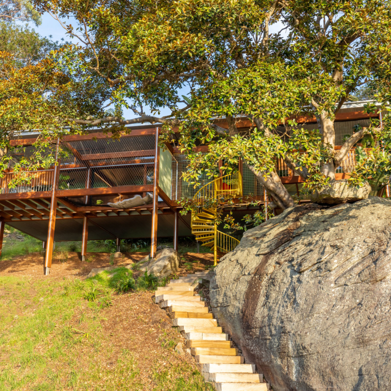 Balmy Palmy By Cplusc Architectural Workshop Project Feature The Local Project Image (2)