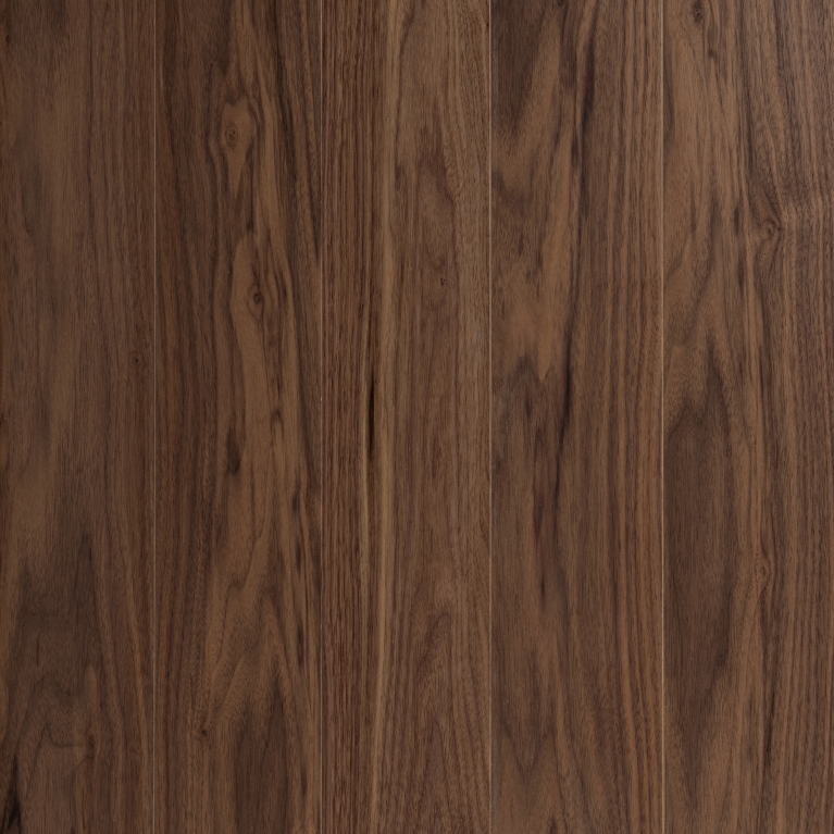 Panels The Local Project