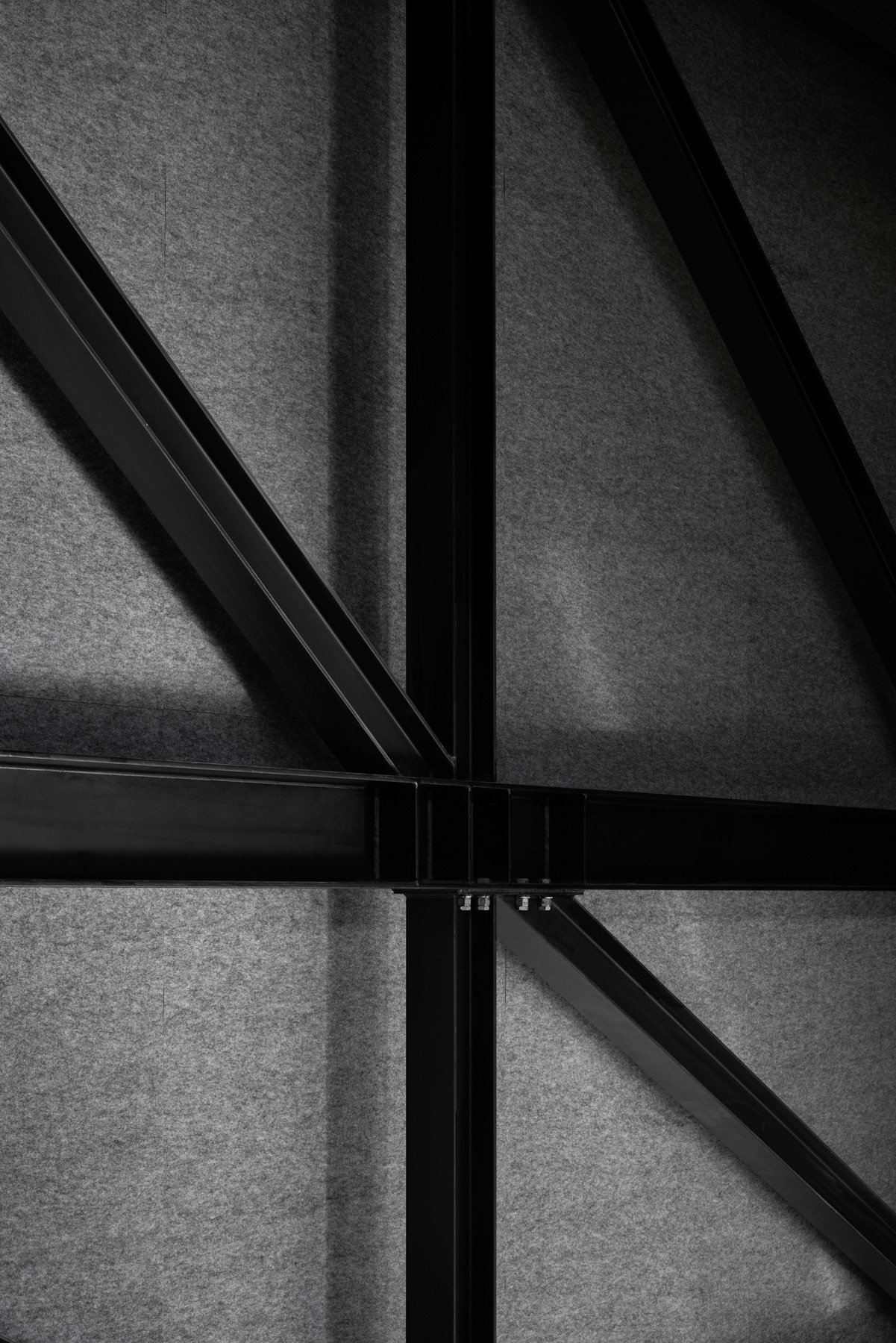 Multipurpose Hall by Branch Studio Architects Issue 10 Commercial