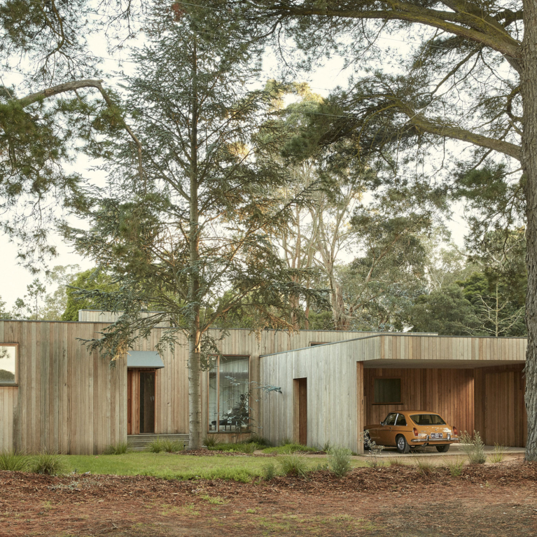 Monterey By Insider Outsider Project Feature The Local Project Image (1)