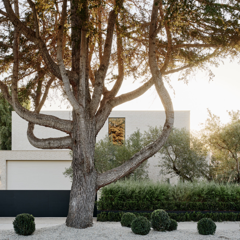 Twentieth By Woods + Dangaran Project Feature The Local Project Image (25)