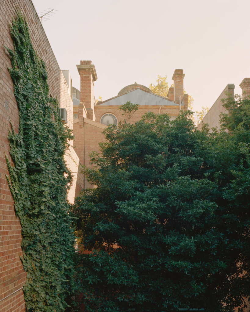 The Mews Carlton by Ewert Leaf Issue 12 Feature The Local Project