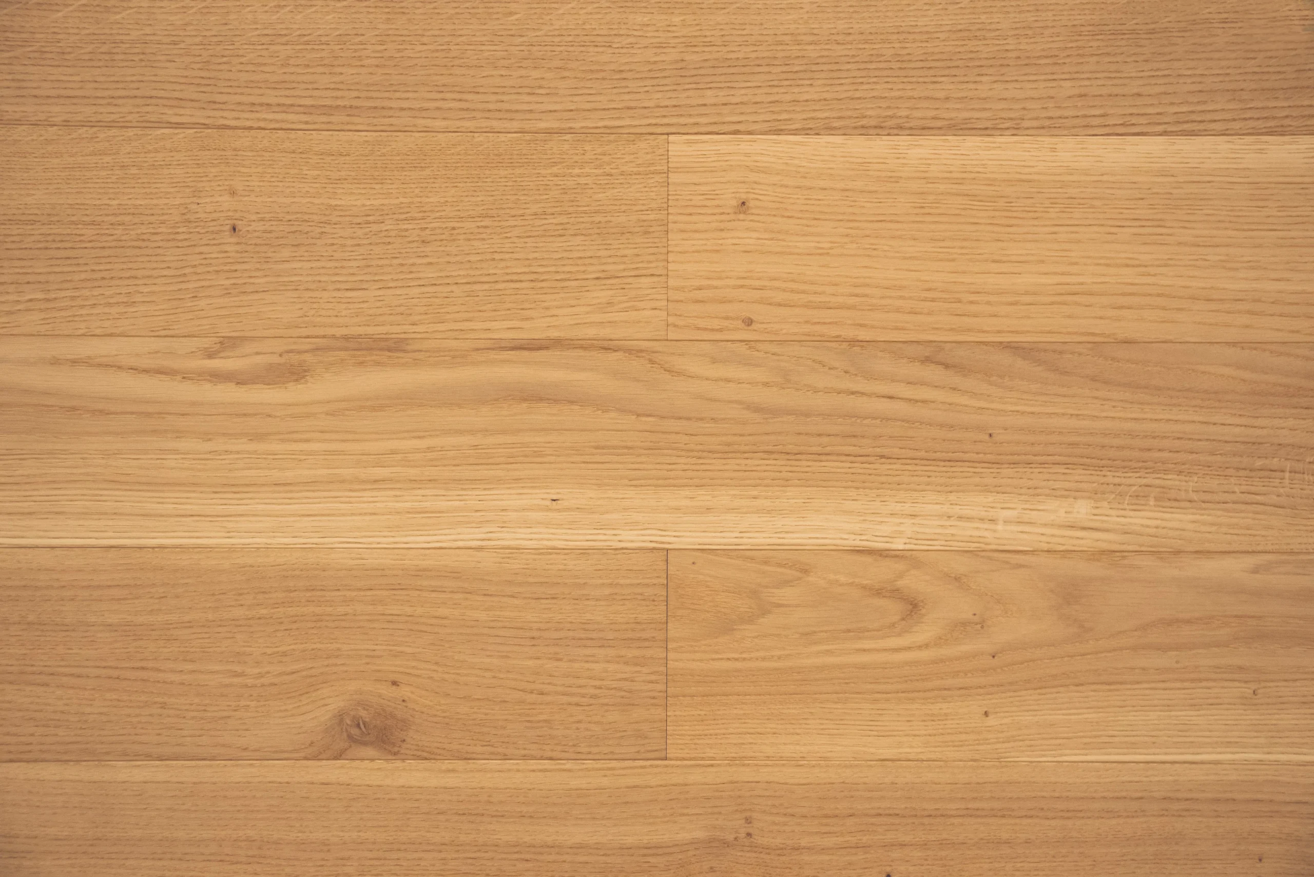 Pallido Character by Havwoods Product Directory The Local Project