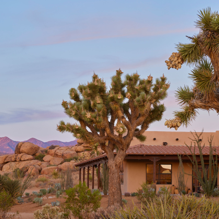 Bust’n B Ranch By Studio Caban And Sydney Ballesteros Project Feature The Local Project Image (4)