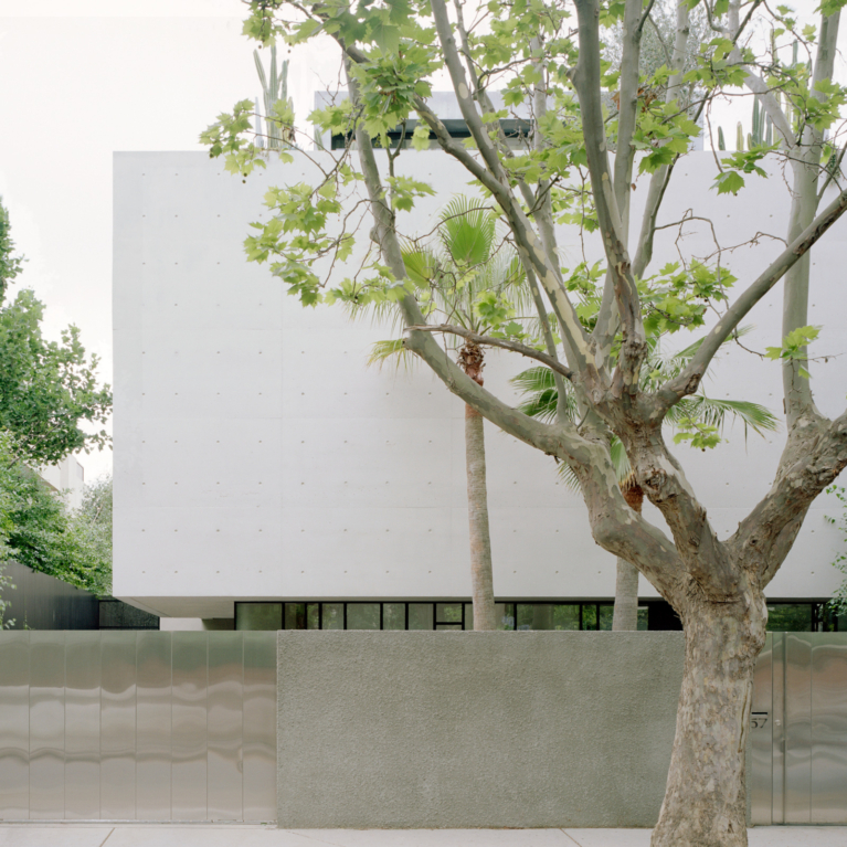 South Yarra House By Pandolfini Architects Issue 14 Feature The Local Project Image (3)