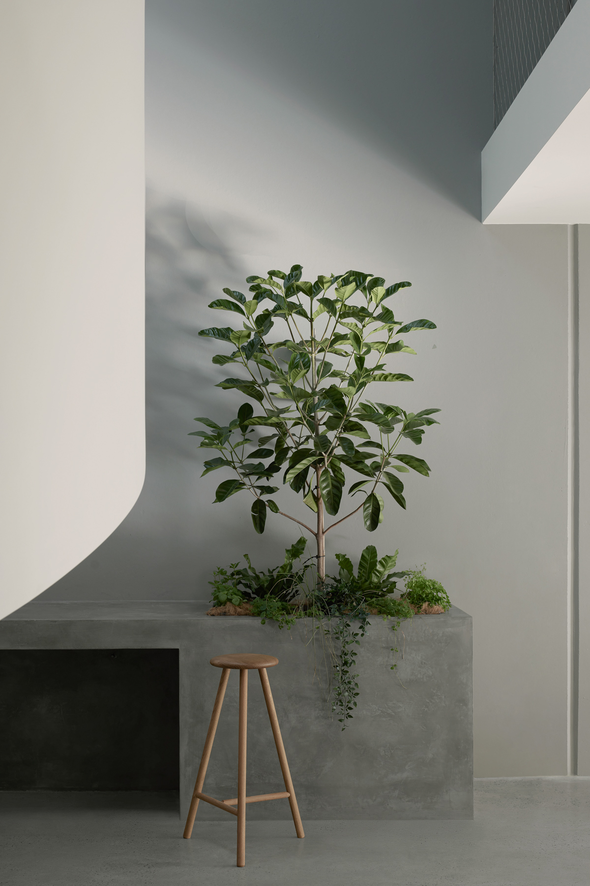How Mortlock Timber Helped Shape Paperbark House - Project Feature ...