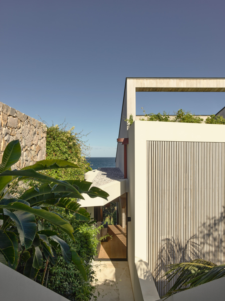 Whale Beach By Shaun Lockyer Architects Issue 17 Feature The Local Project Image (19)