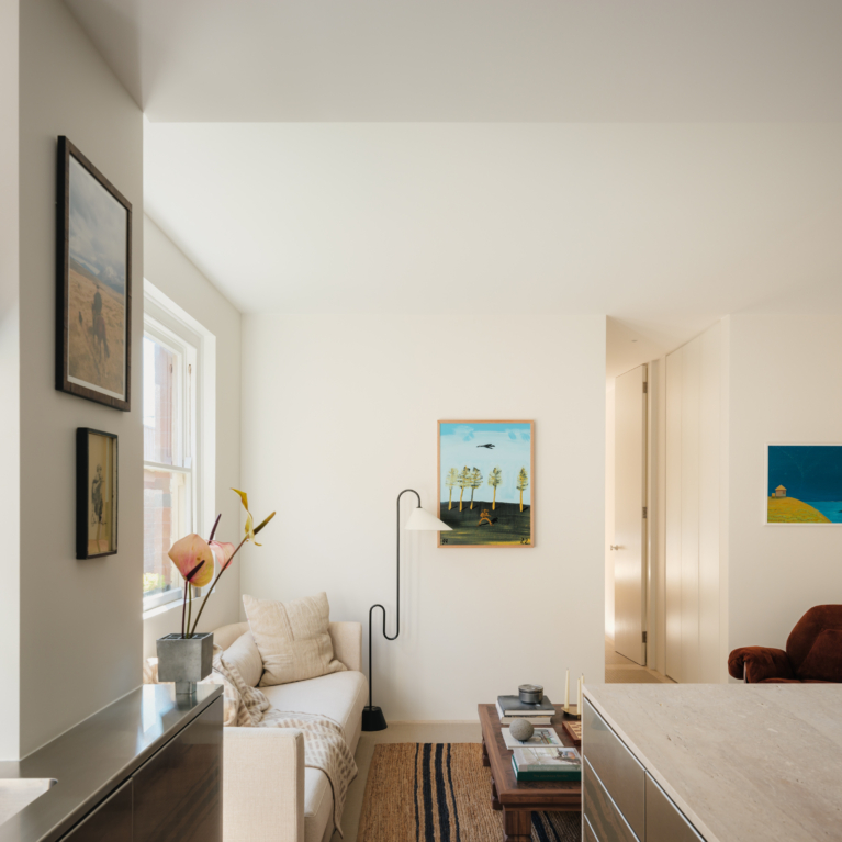 Anywhere Apartment By Brad Swartz Architects Project Feature The Local Project Image (8)