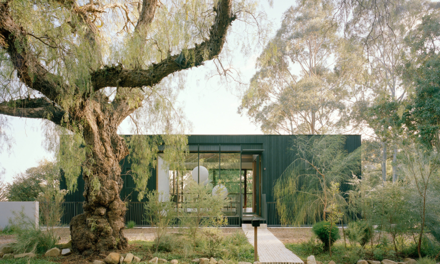 Cloaked House By Trias Issue 18 Feature The Local Project Image (1)
